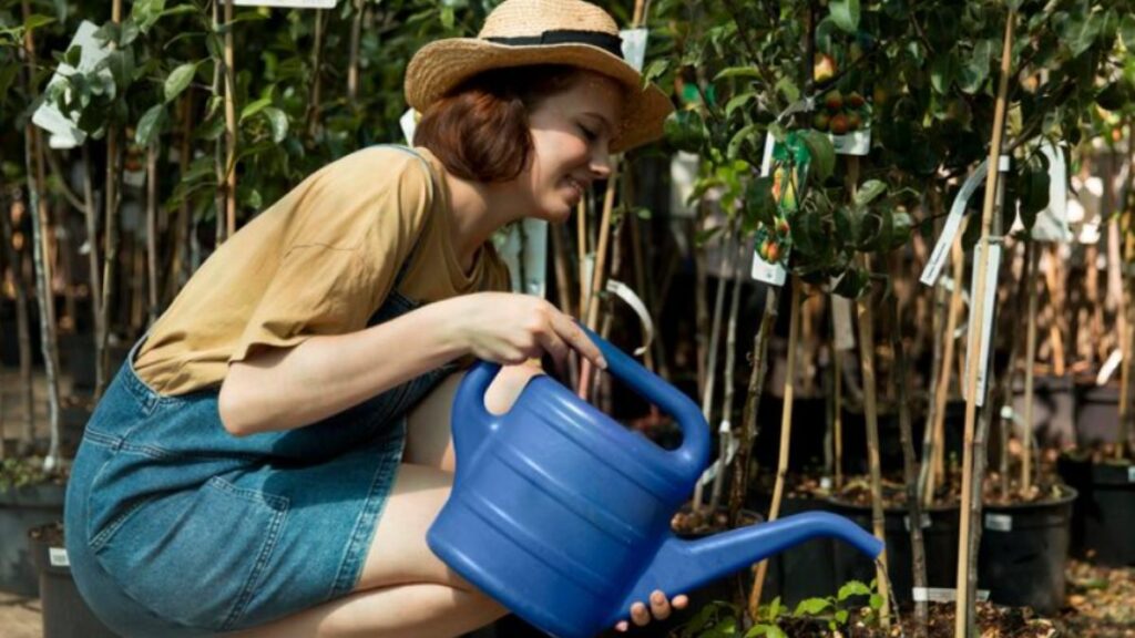 Top 5 Benefits of Implementing an Irri Sys for Your Garden