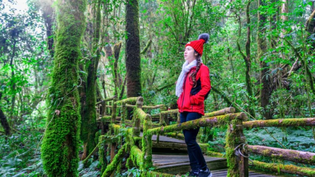 Travel Threetrees VN