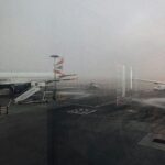 United Flight UA195 Diversion Halifax: A Case Study in Real-Time Aviation Transparency