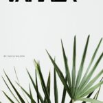 Váhala: Exploring a Modern Digital Concept Shaping Identity, Platforms, and Creative Expression