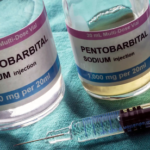 Nembutal Sodium Explained: Everything You Need to Know About Pentobarbital