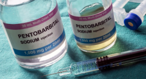 Nembutal Sodium Explained: Everything You Need to Know About Pentobarbital